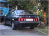 75A91.jpg (40691 byte)